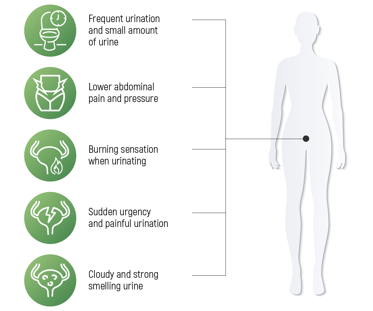 cystitis-and-utis-soluro